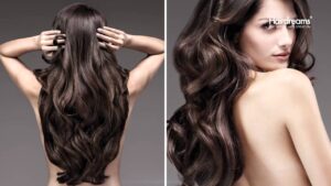 Hair Extensions Tampa FL